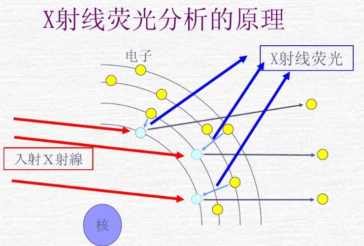 u=1244556689,4293542545&fm=253&fmt=auto&app=138&f=PNG.webp.jpg